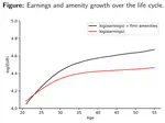 Amenities and Job Mobility over the Life Cycle